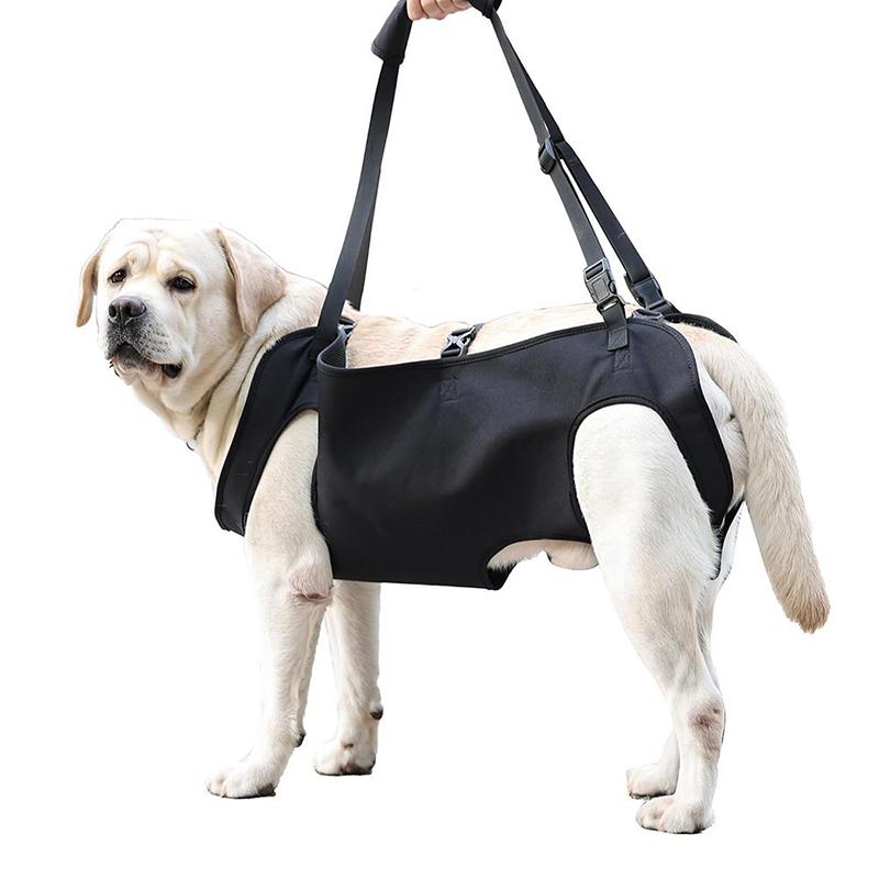 Harness Climbing Adjustable - Dog Stair Assistance Leash Elderly Dog