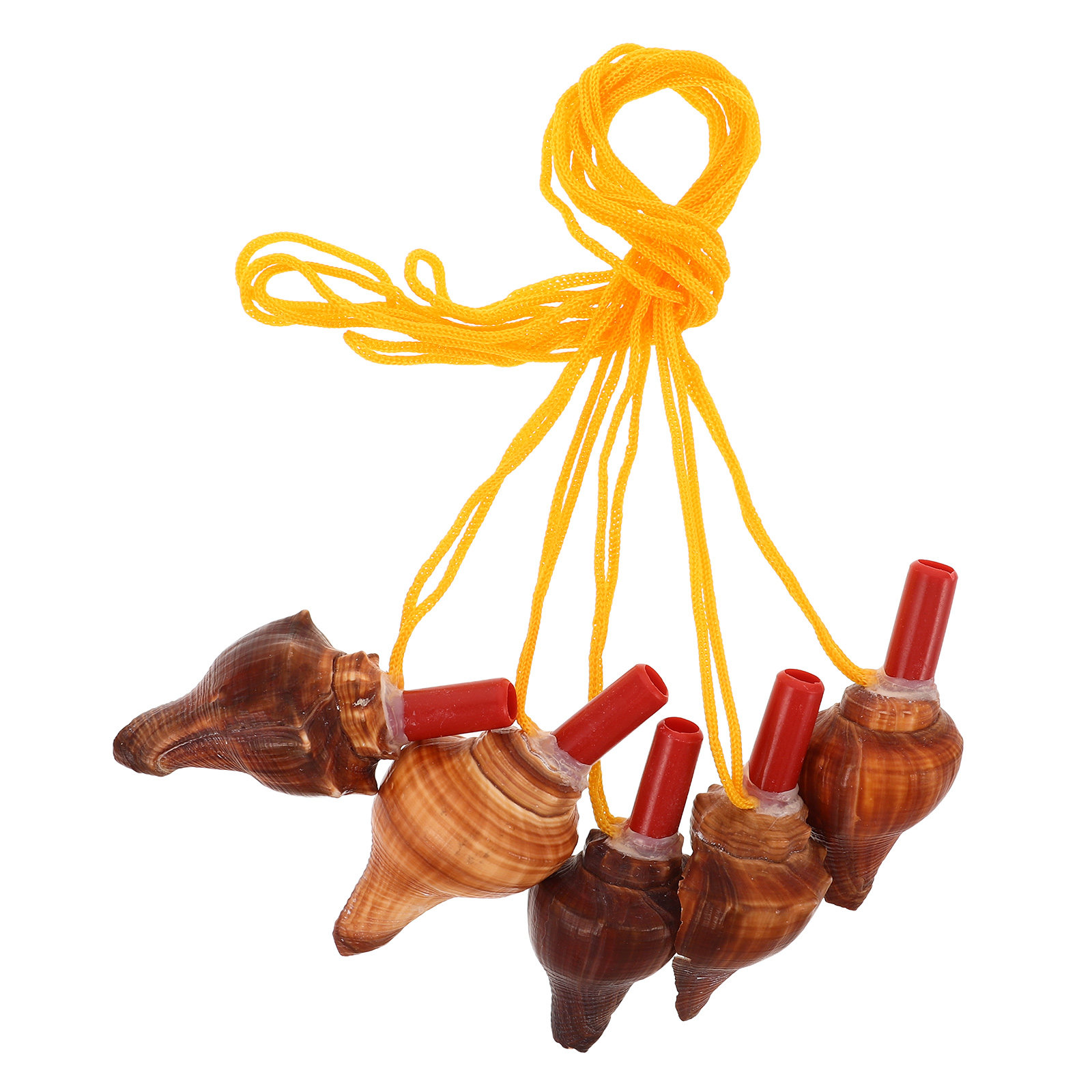5Pcs Conch Whistle Natural Sea - огляд і ціна Outdoor Adventure Kids Party