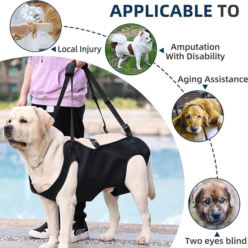 Dog Stair Assistance Leash Eld - огляд і ціна Harness Climbing Adjustable